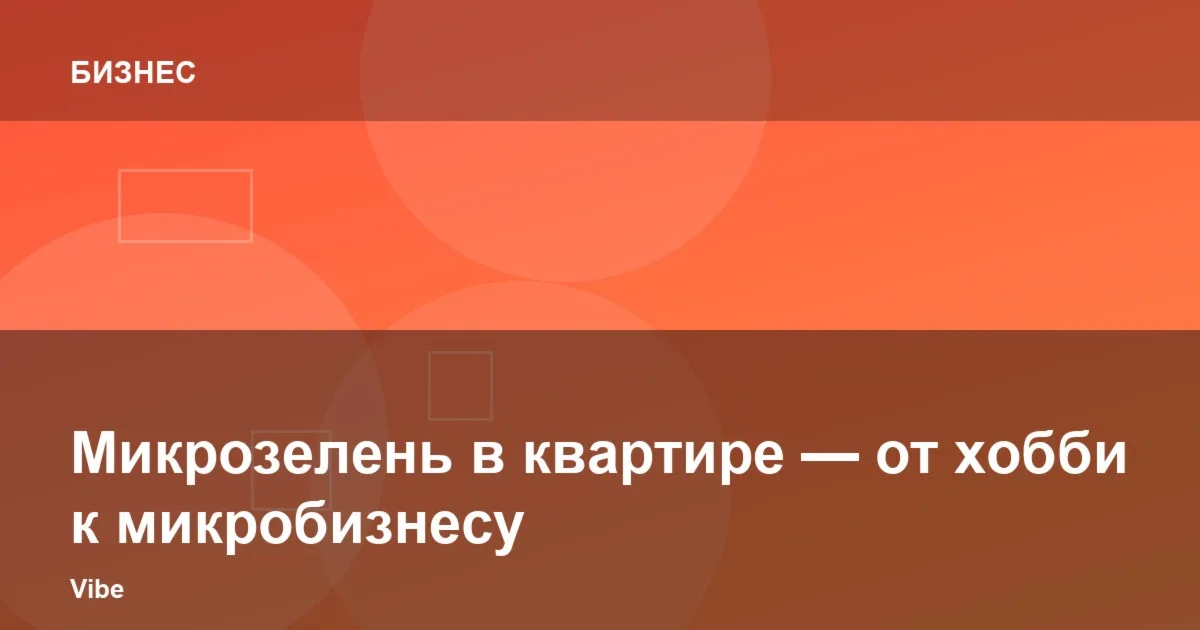 Микрозелень в квартире — от хобби к микробизнесу
